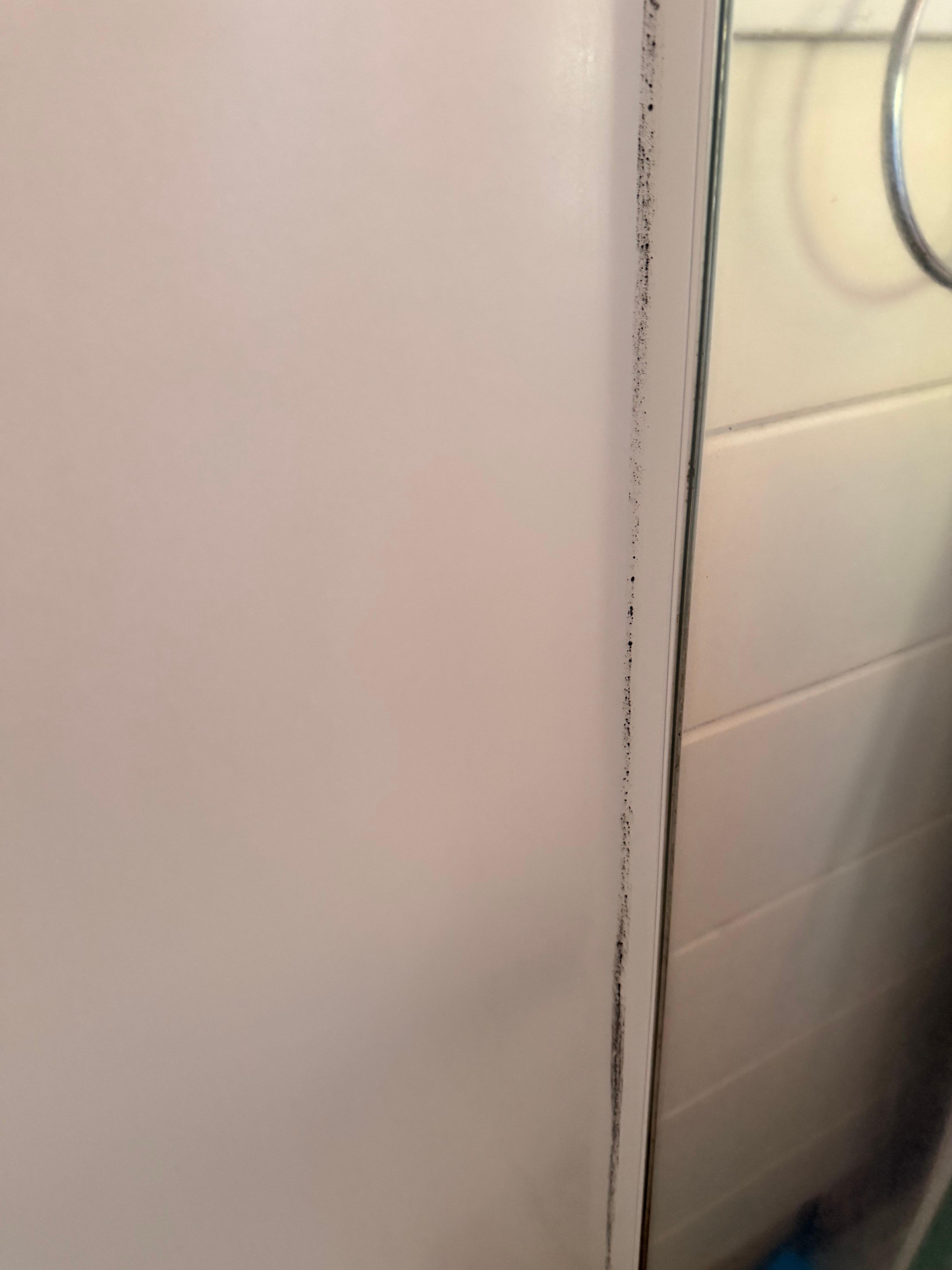 There was also black mold in the shower.