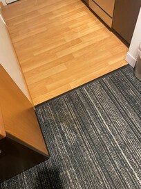 Carpet stain I assume was from a previous pet staying in this room