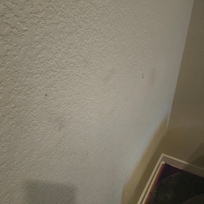 Dirty walls living room