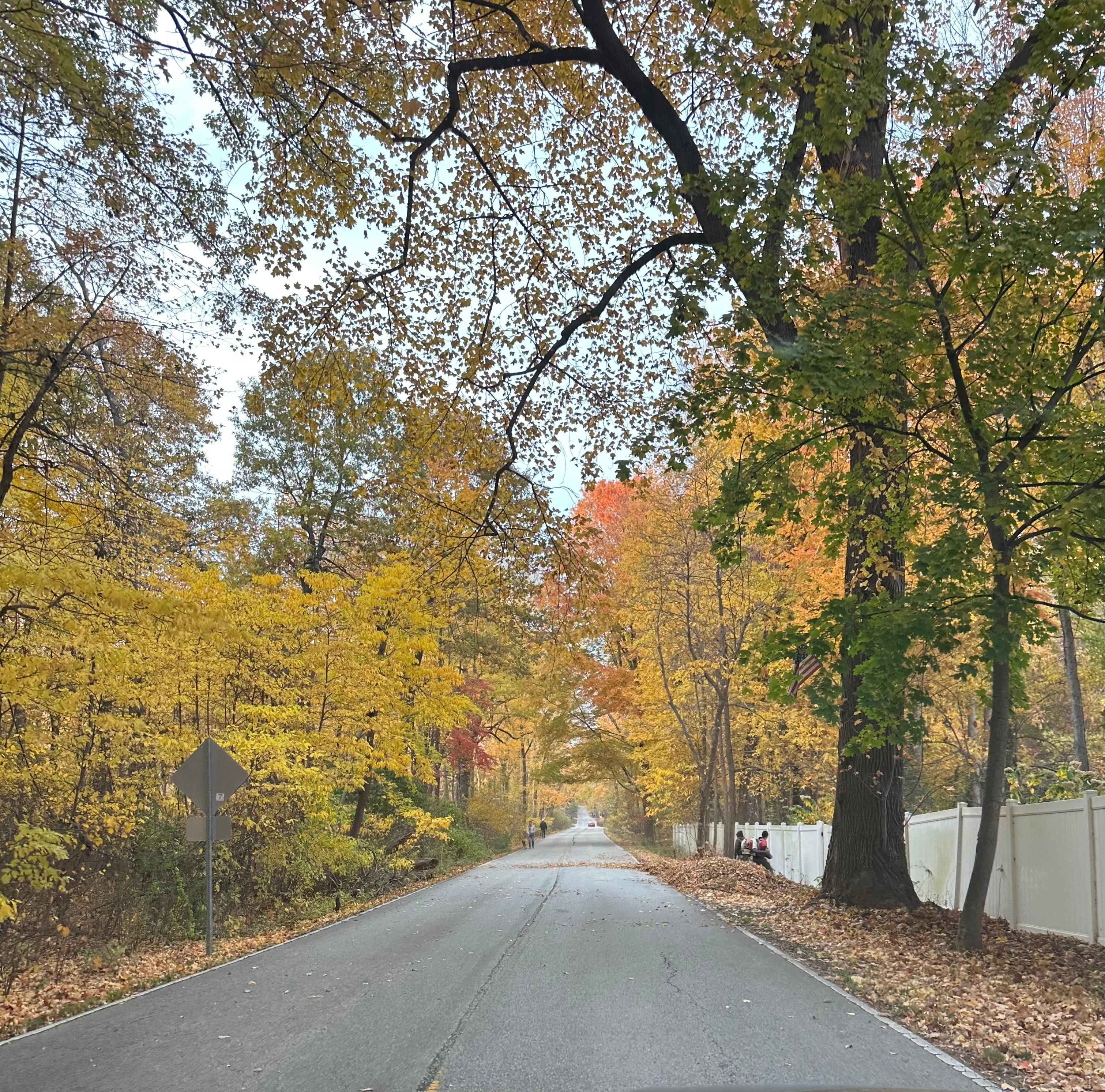 Street path towards the house 