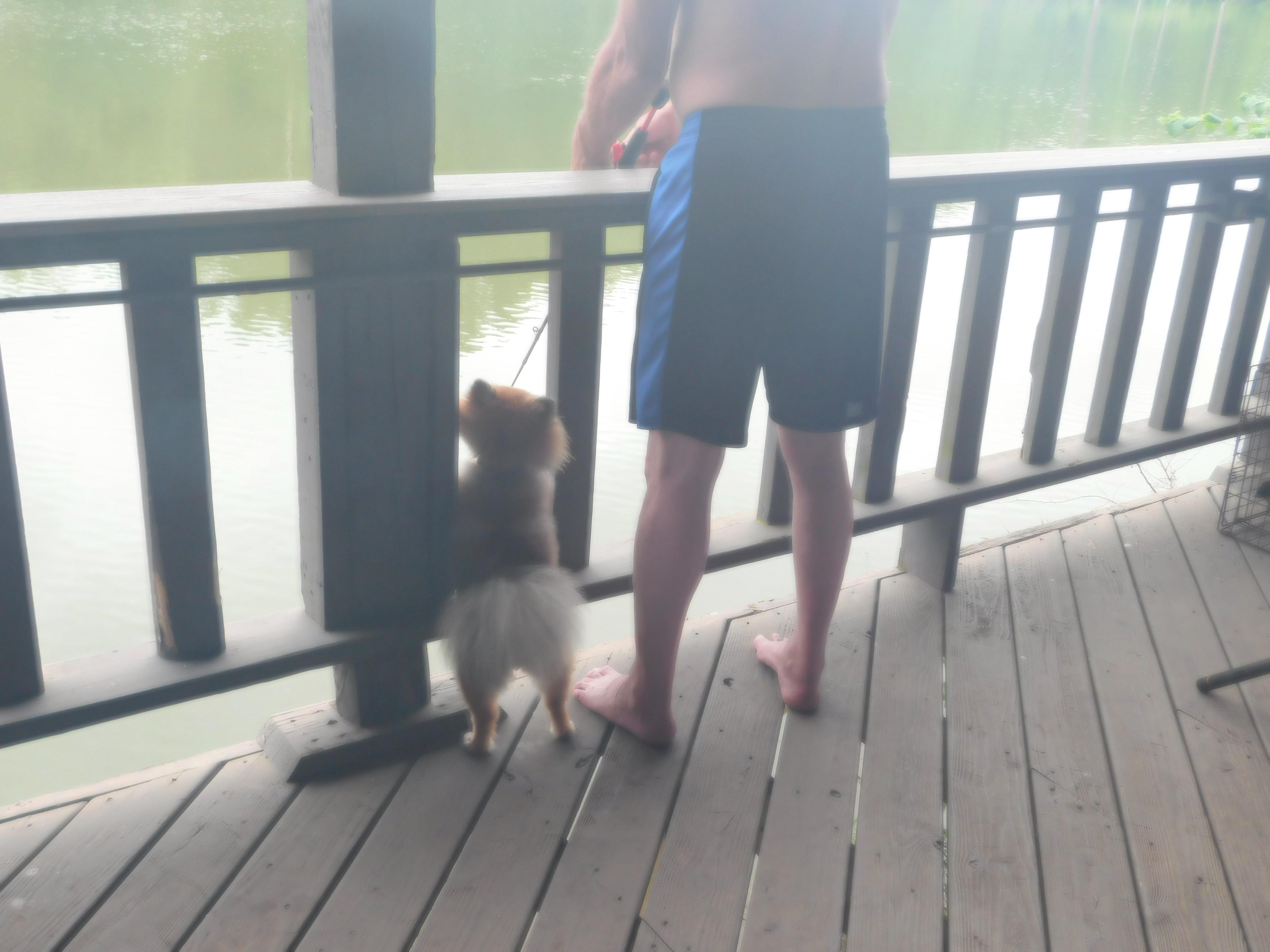 Fishing buddy's 