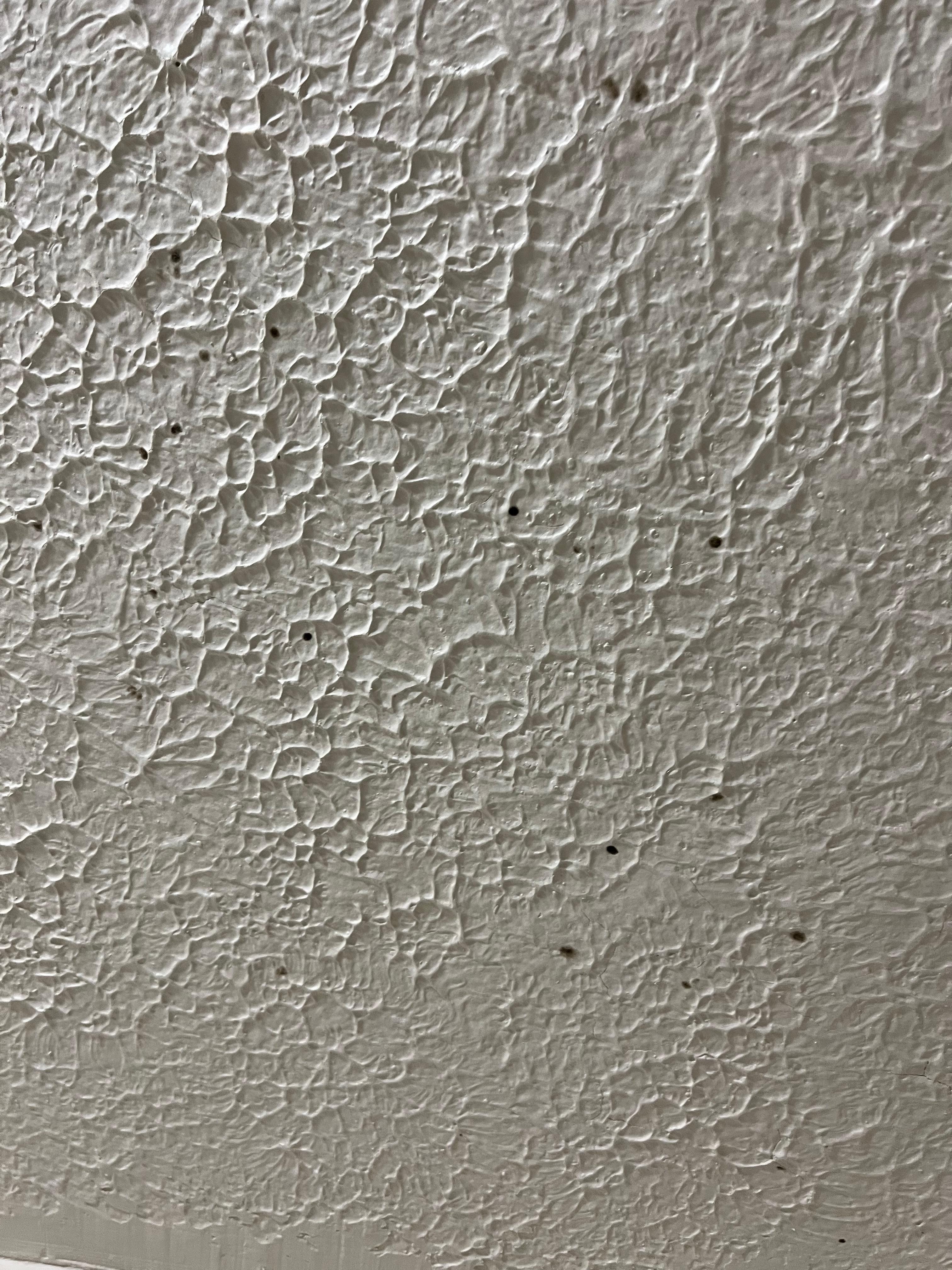 black speck on ceiling 