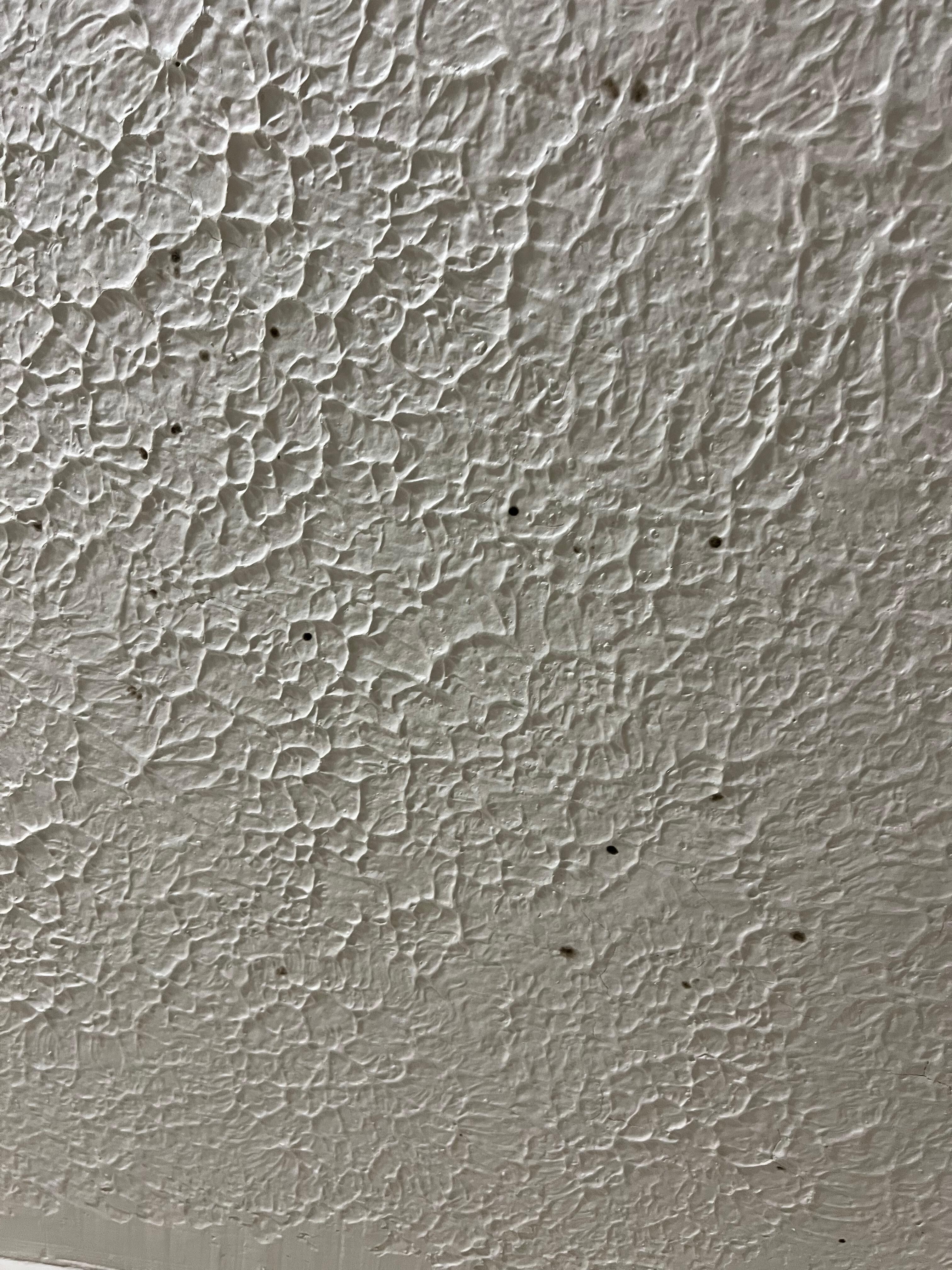 black speck on ceiling 