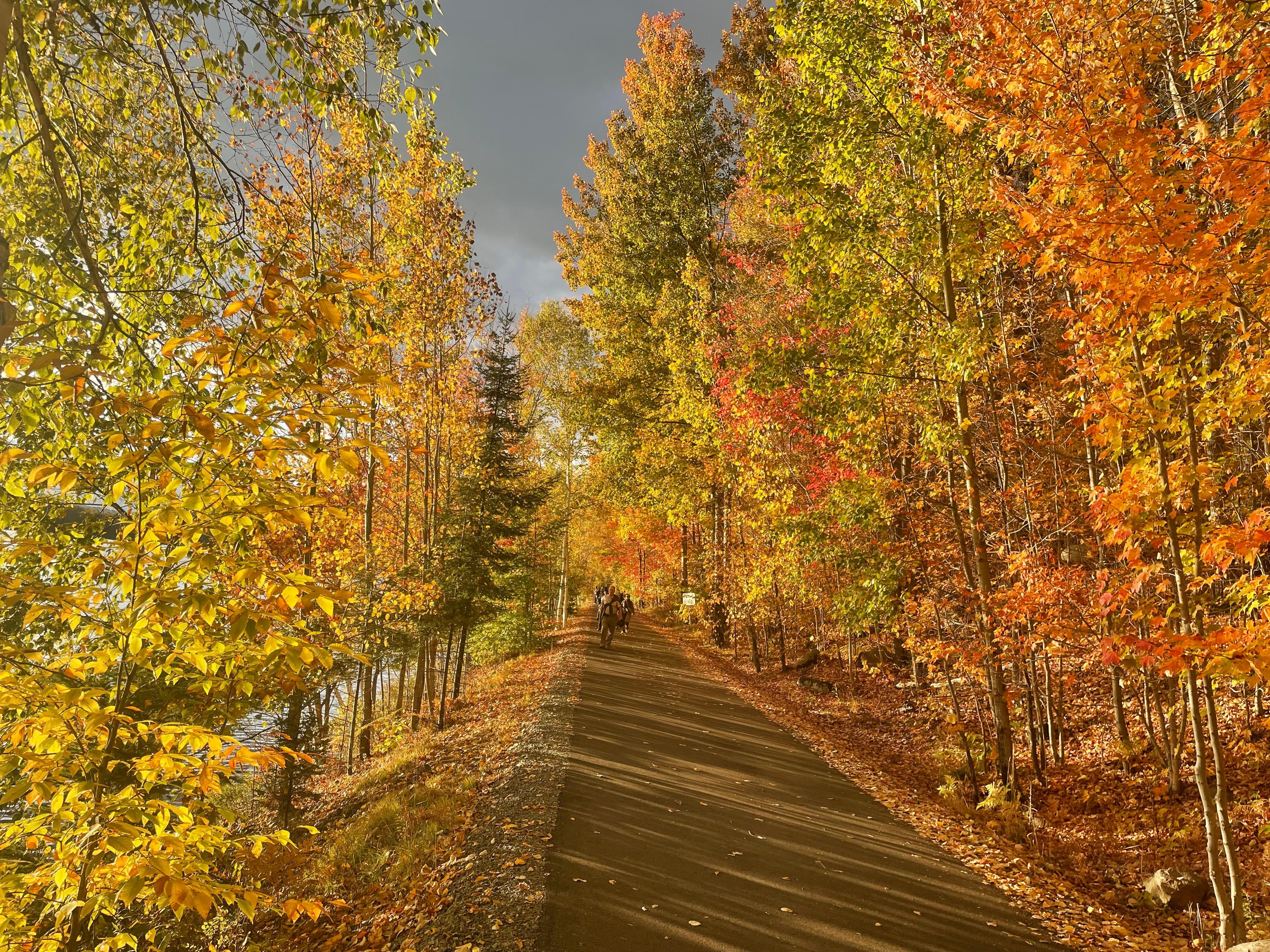 Rail trail bike path.