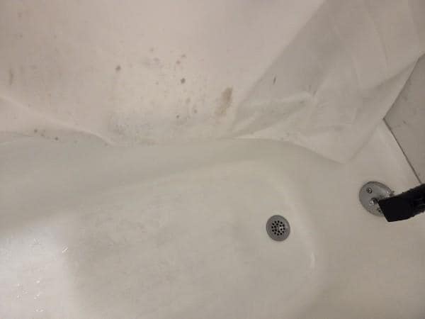 Mold in the Shower