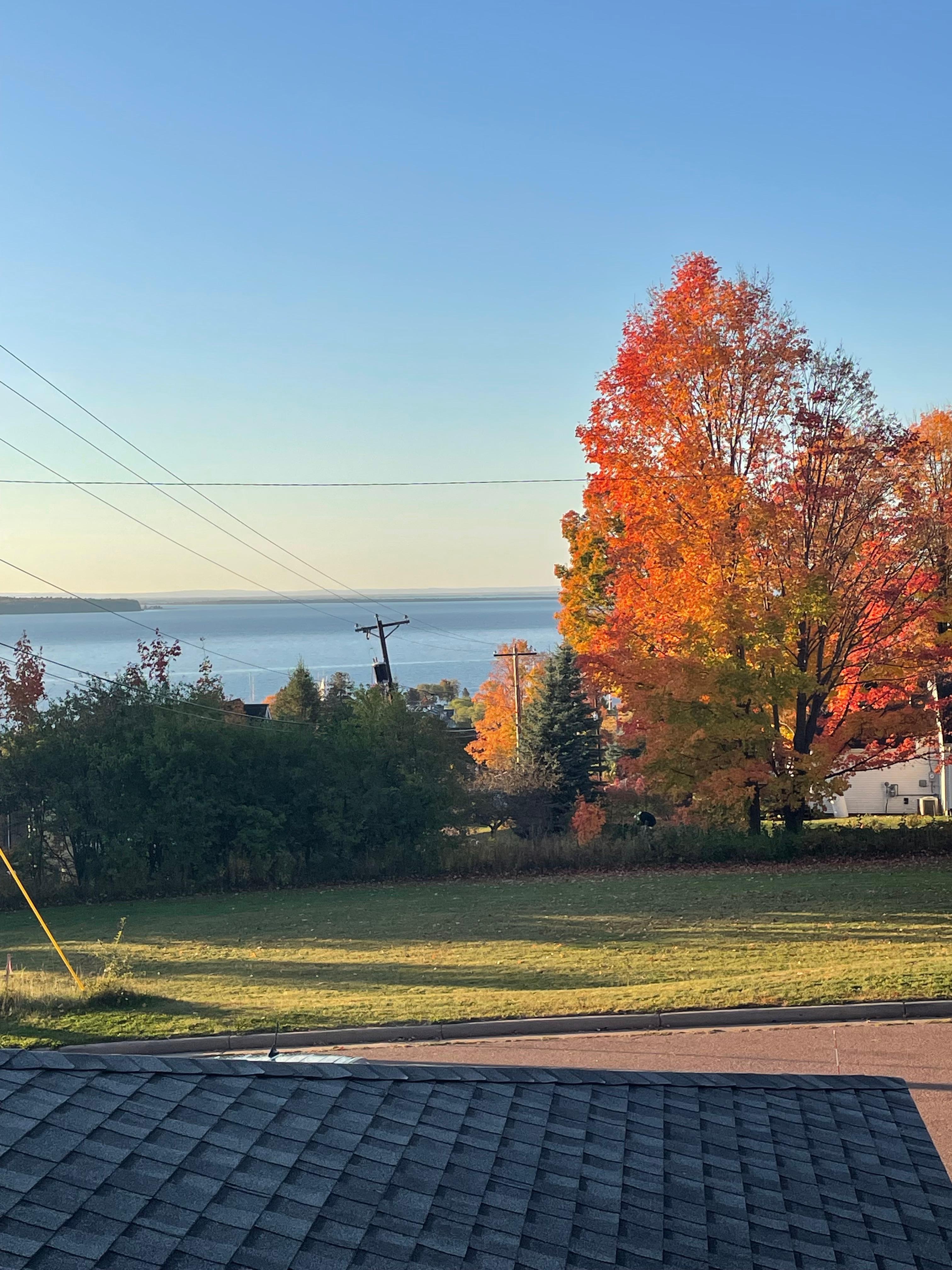View from deck in the morning. 
