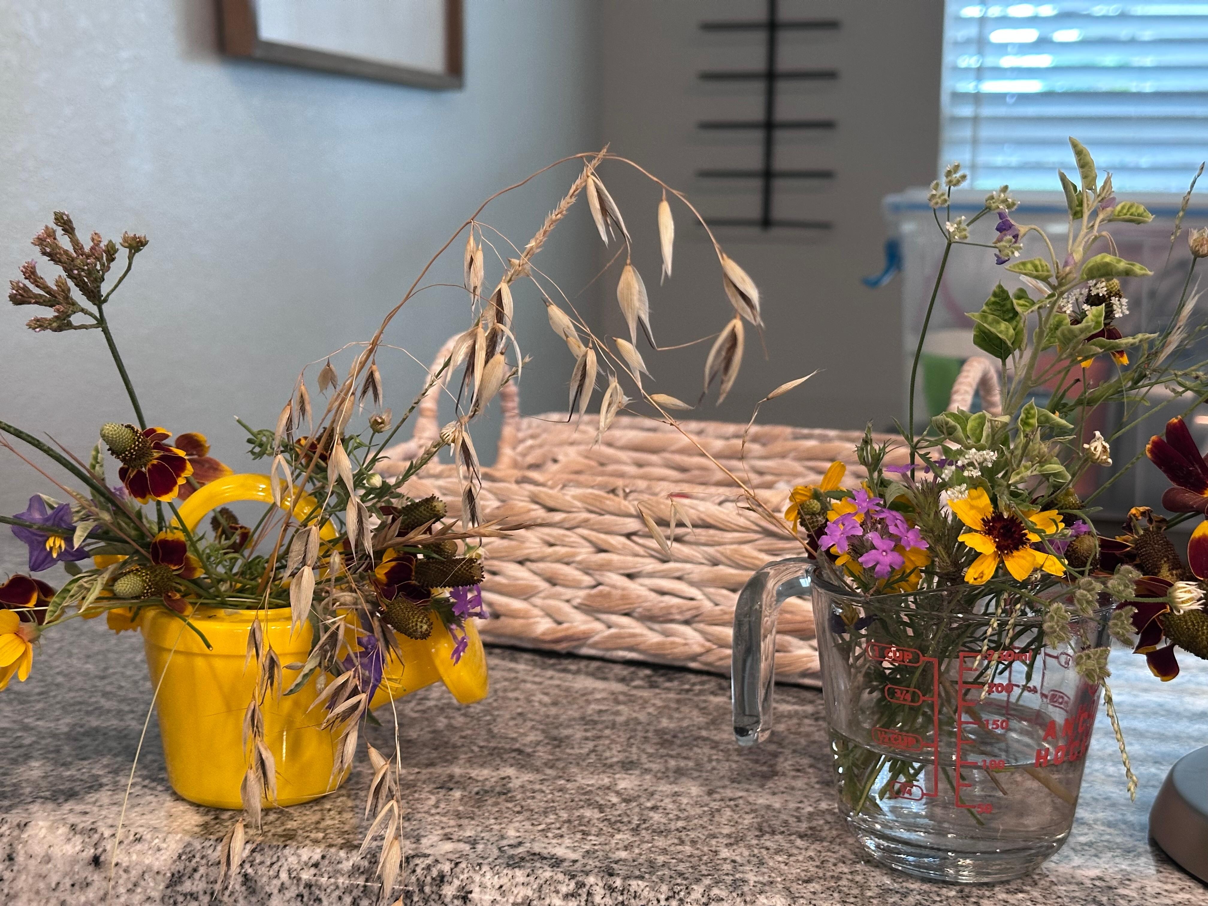 picking wildflowers was our morning routine. :) 