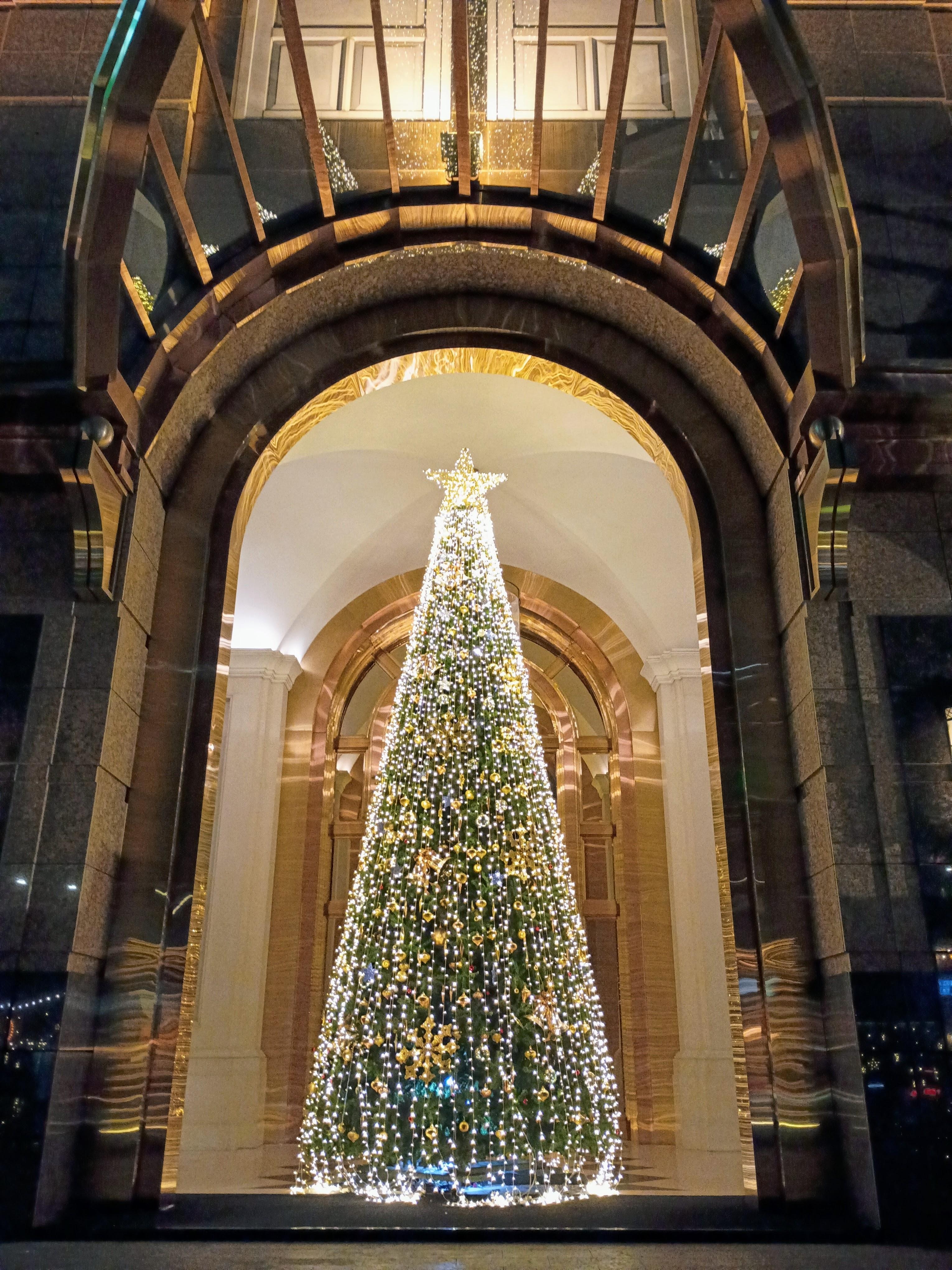 they put up the tree the day we arrived.