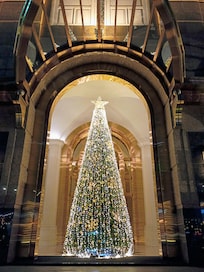 they put up the tree the day we arrived.