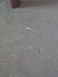 Floor next to the bed.