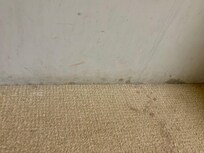 Carpeting