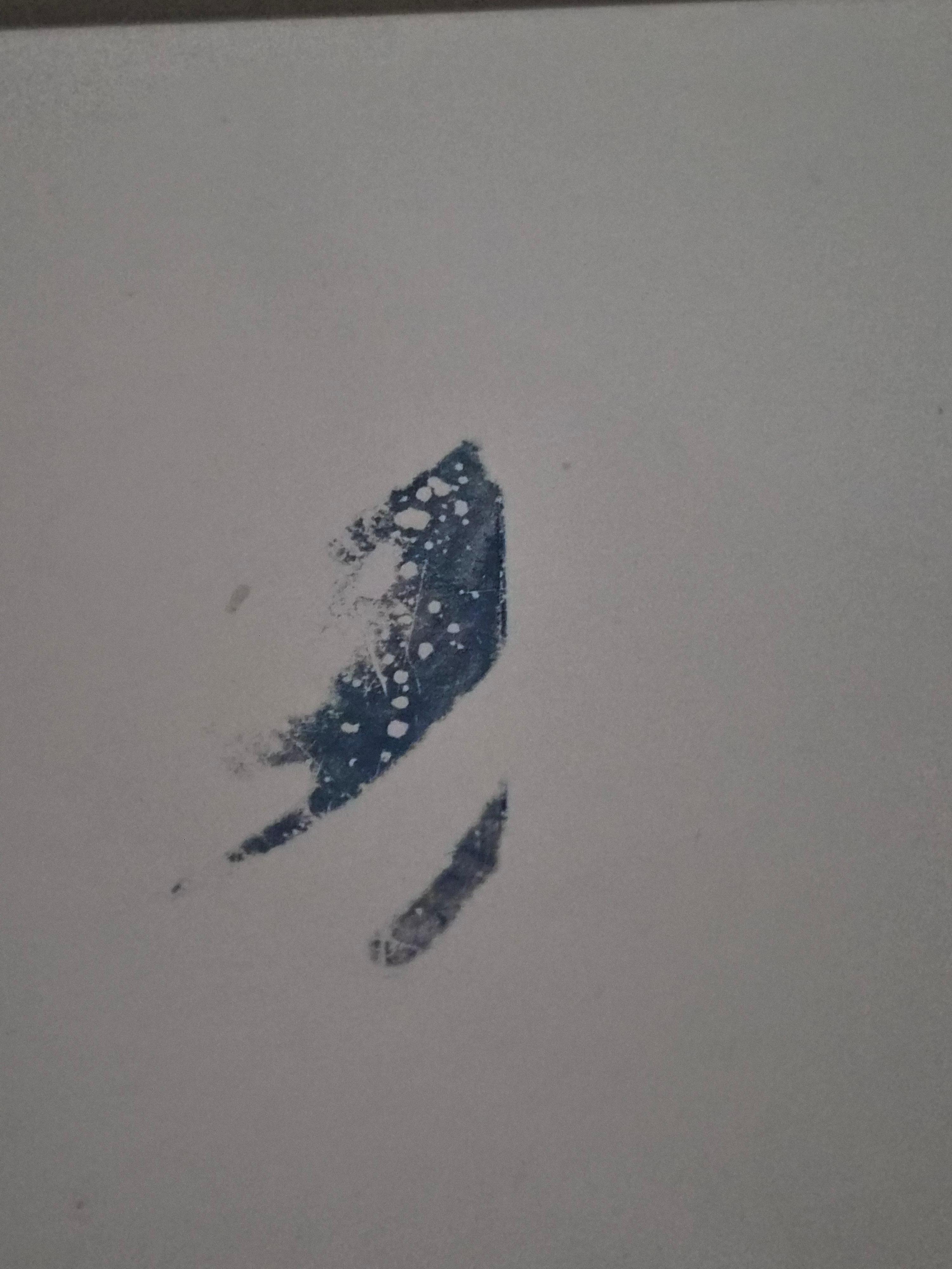 Old tatty chest of drawers