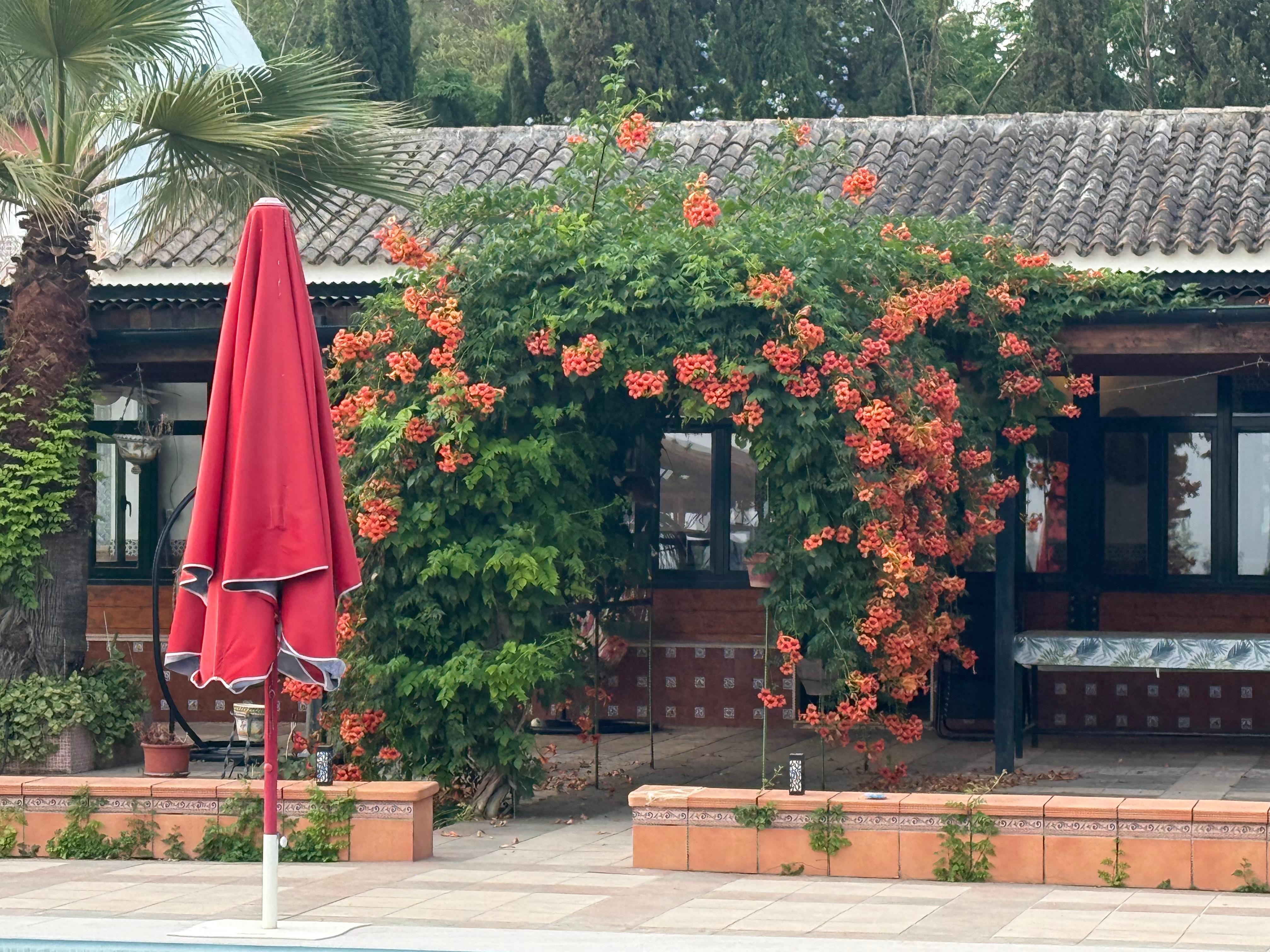 Beautiful flower trellis