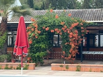 Beautiful flower trellis