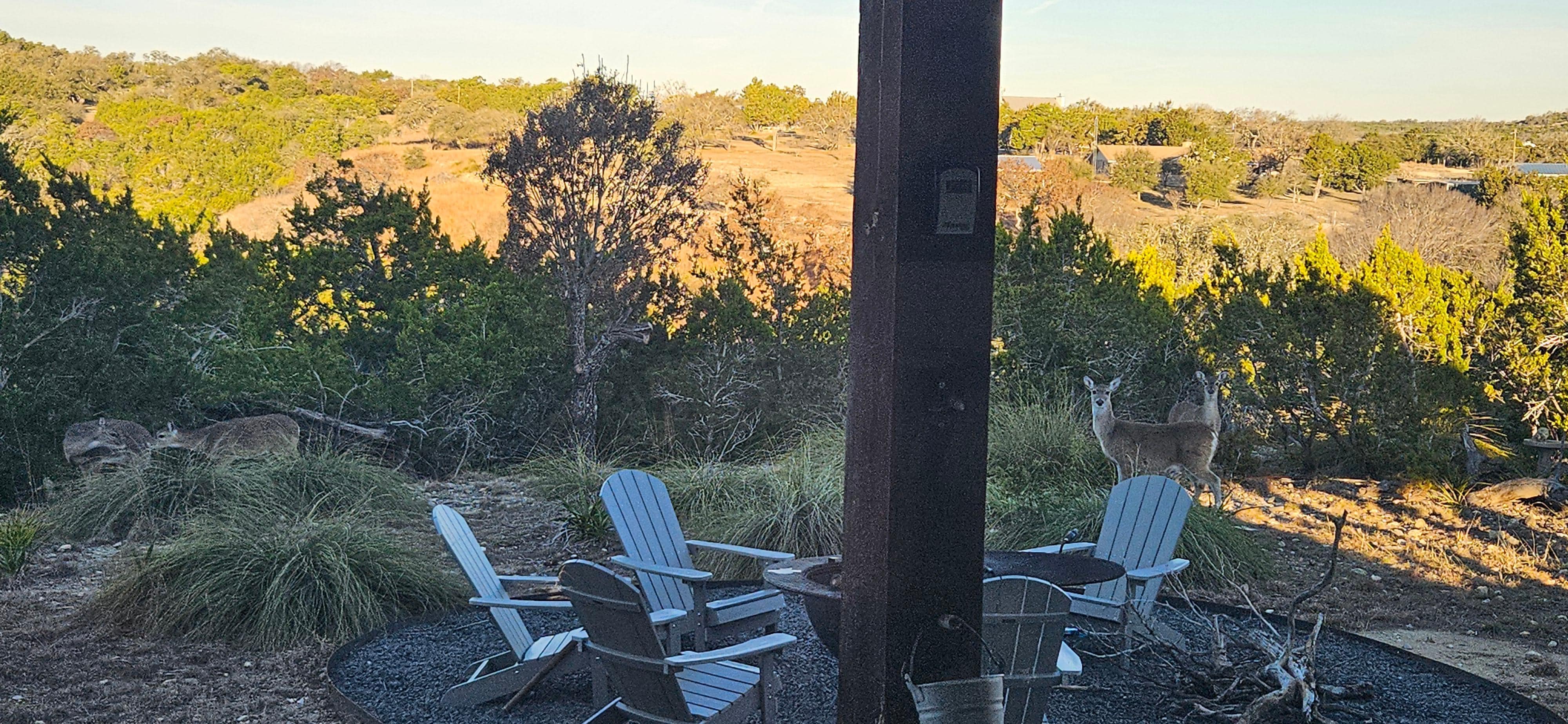 Mornings at Hirsh