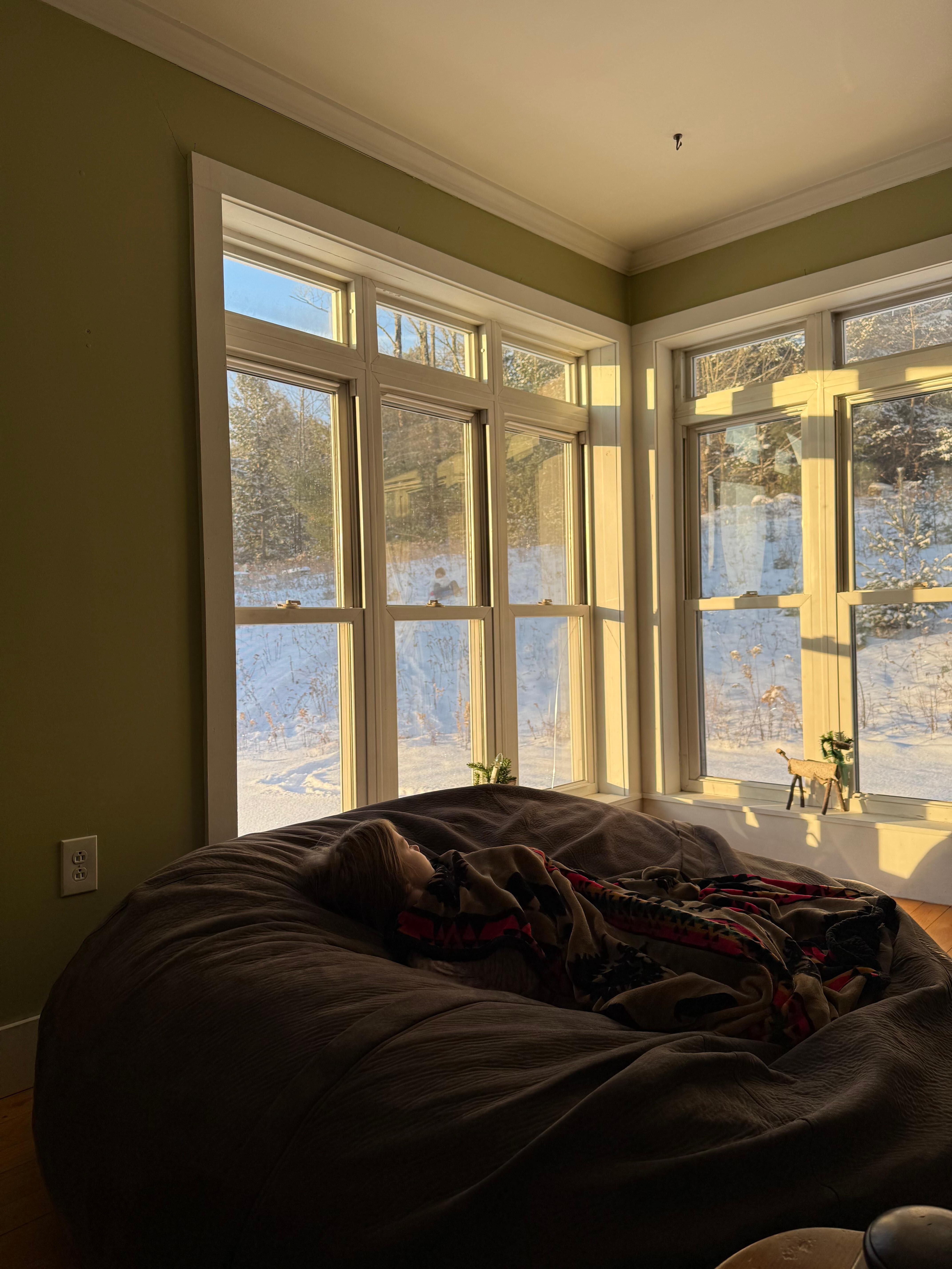 Light streams in through the windows of the cozy living room
