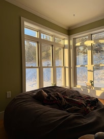 Light streams in through the windows of the cozy living room