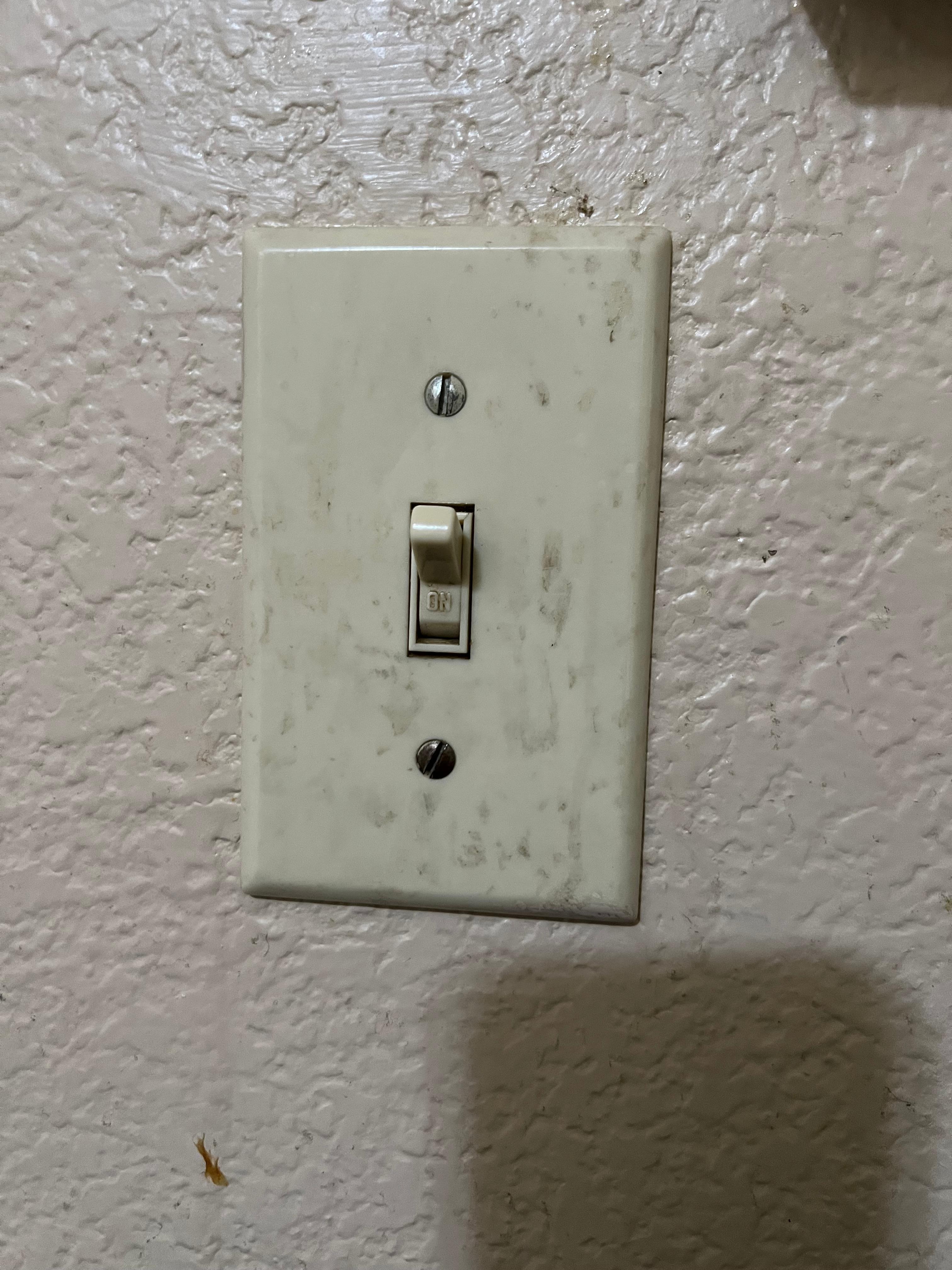 Filthy light switches
