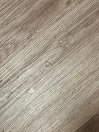 Sticky substance all through the room in floor.