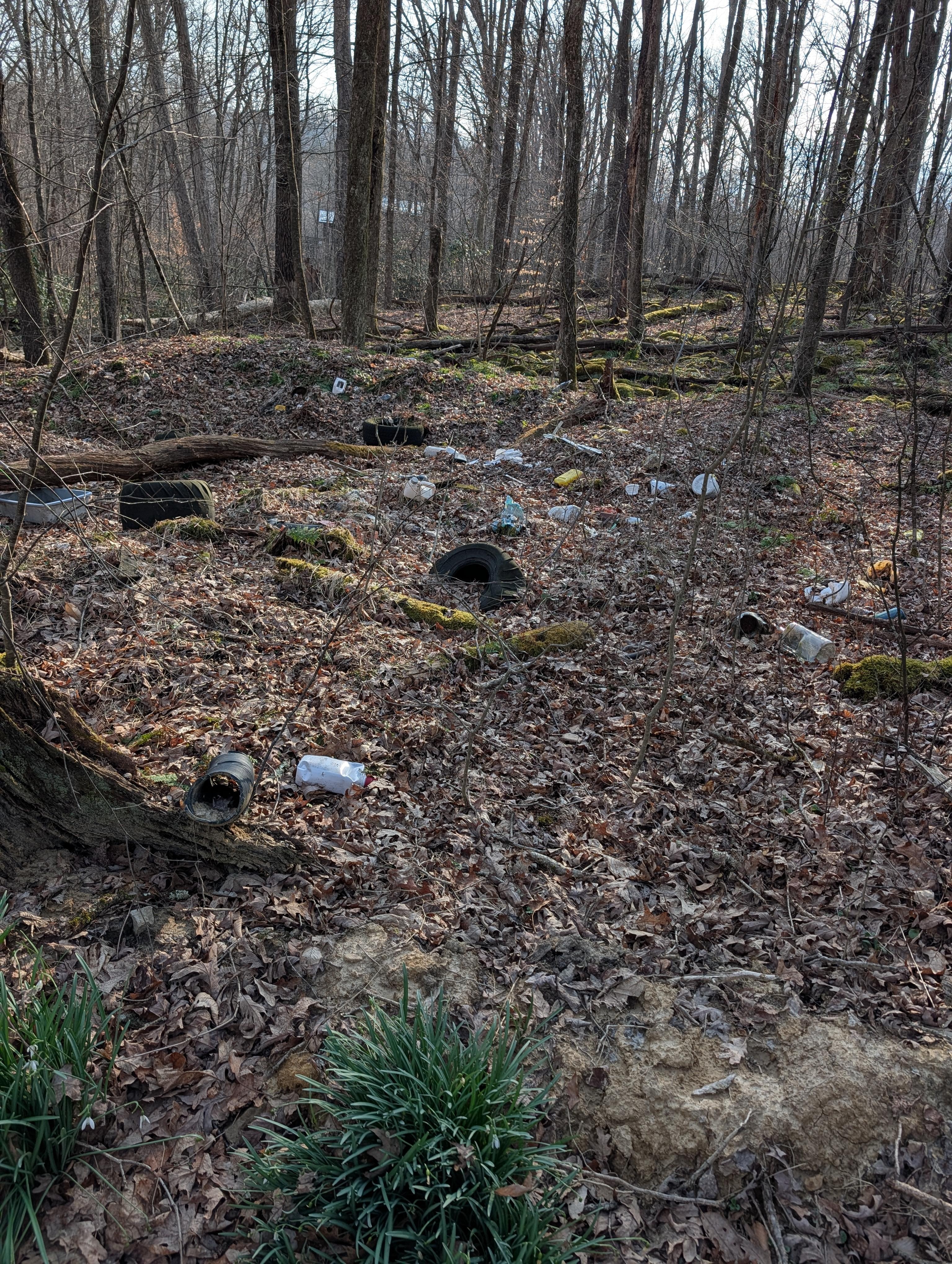 The garbage in the woods by the creek near the tree house. 