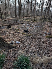 The garbage in the woods by the creek near the tree house.