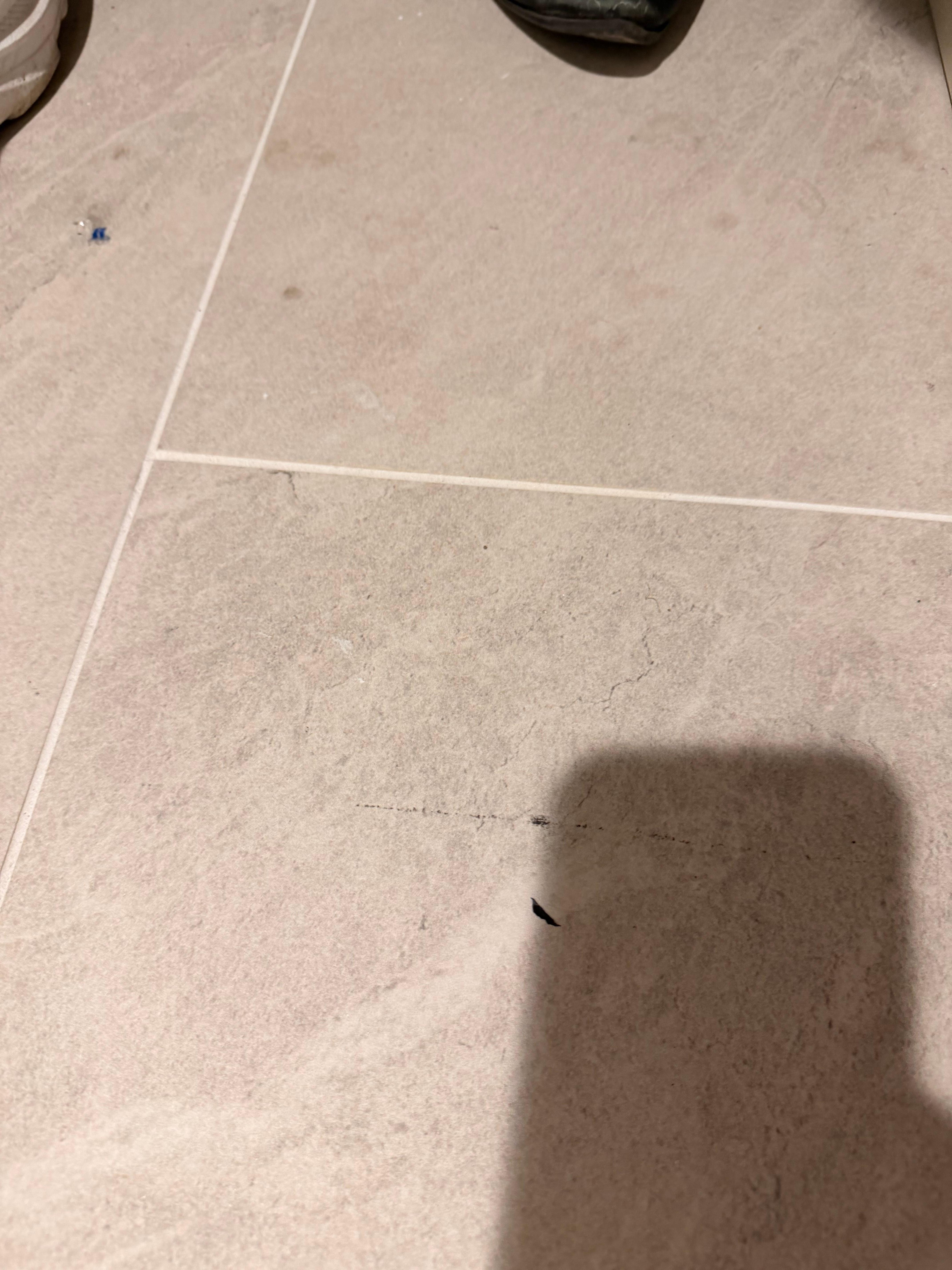 Vacuum hasn’t been brought through the room in a month. 