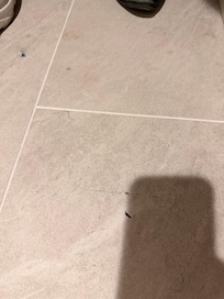 Vacuum hasnât been brought through the room in a month.