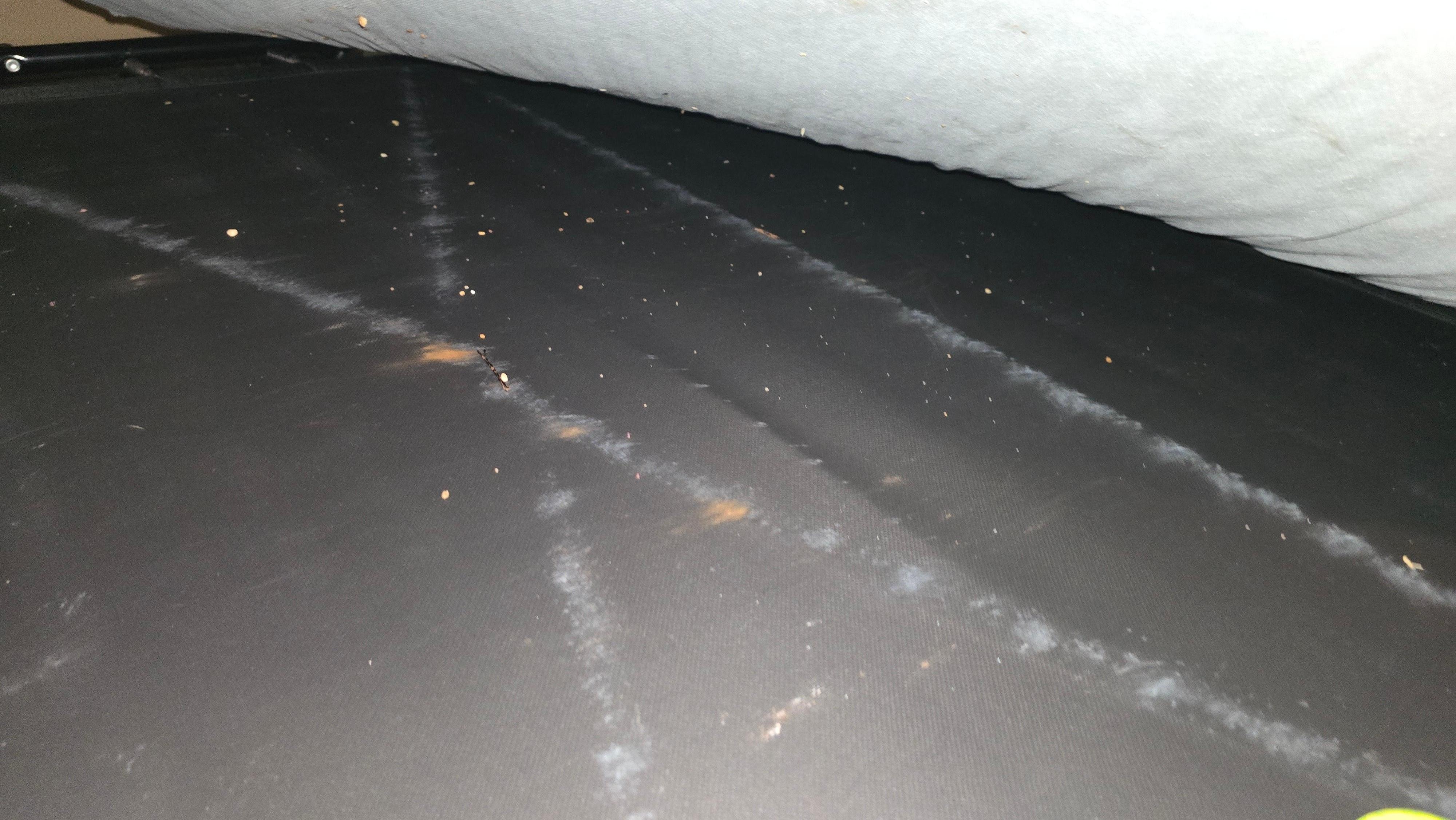 Underneath the mattress of pullout couch.