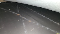 Underneath the mattress of pullout couch.