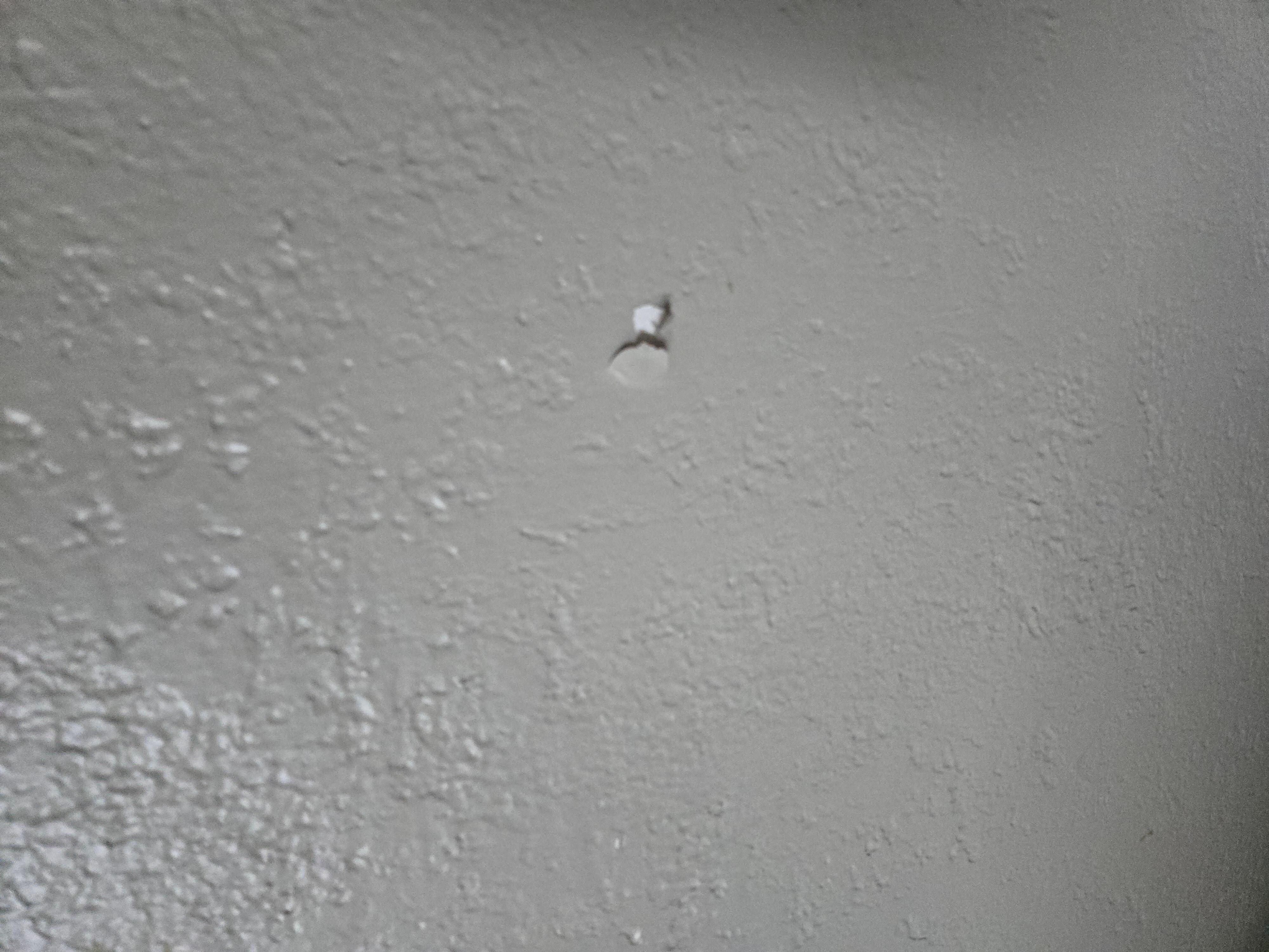 peeling wall paint