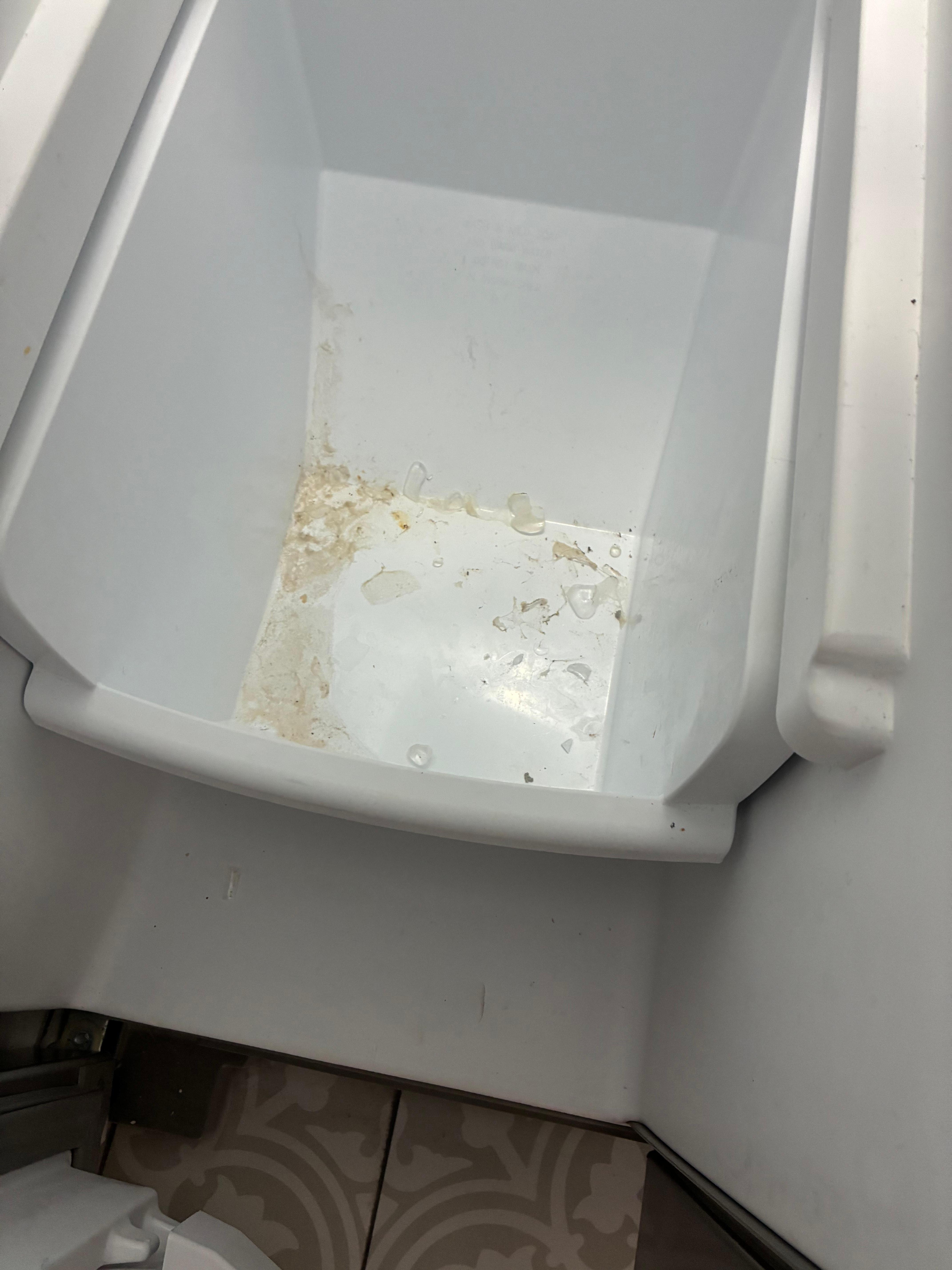 Refrigerator disgusting