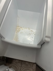 Refrigerator disgusting