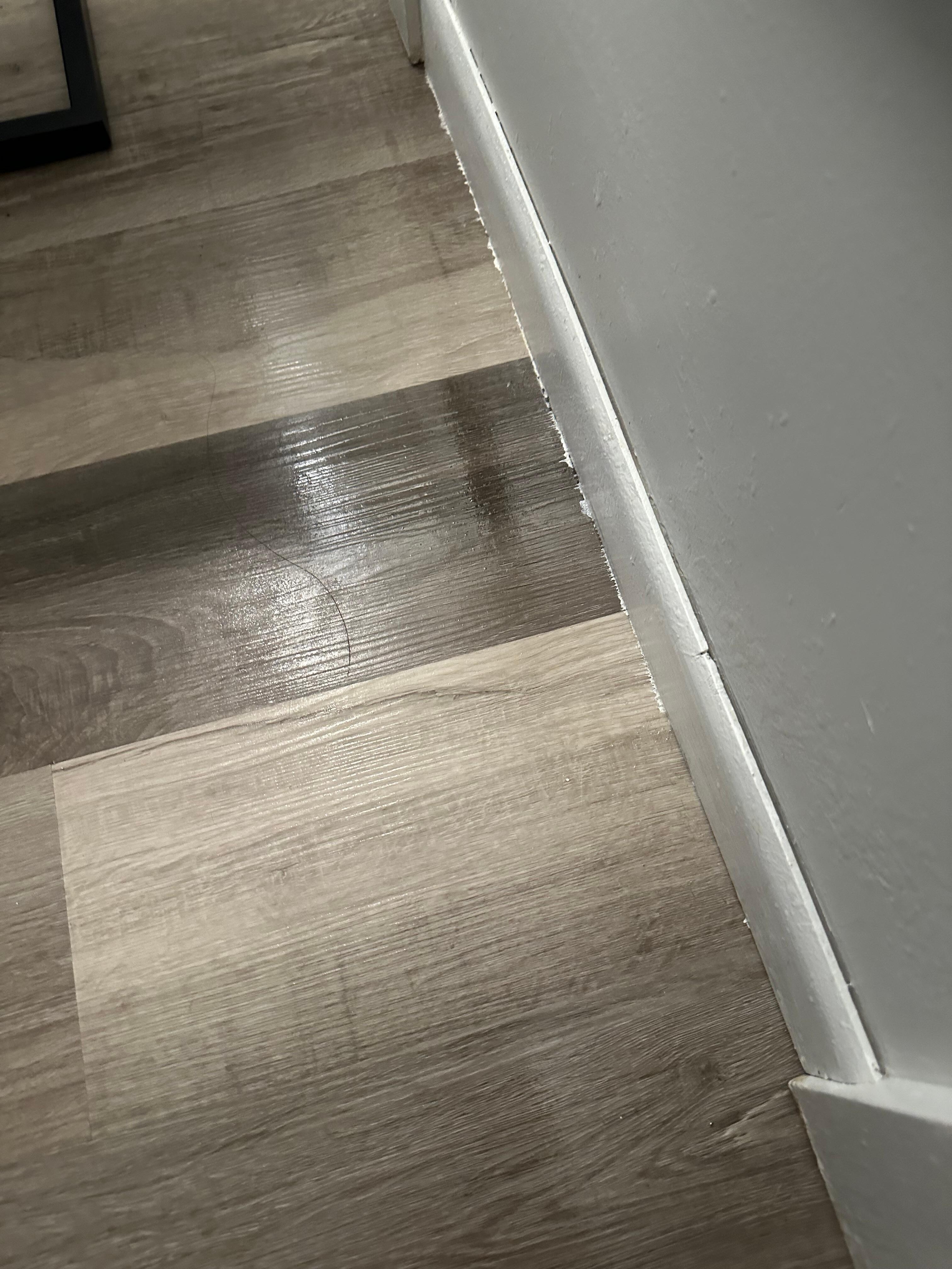The floor wet with ant spray 