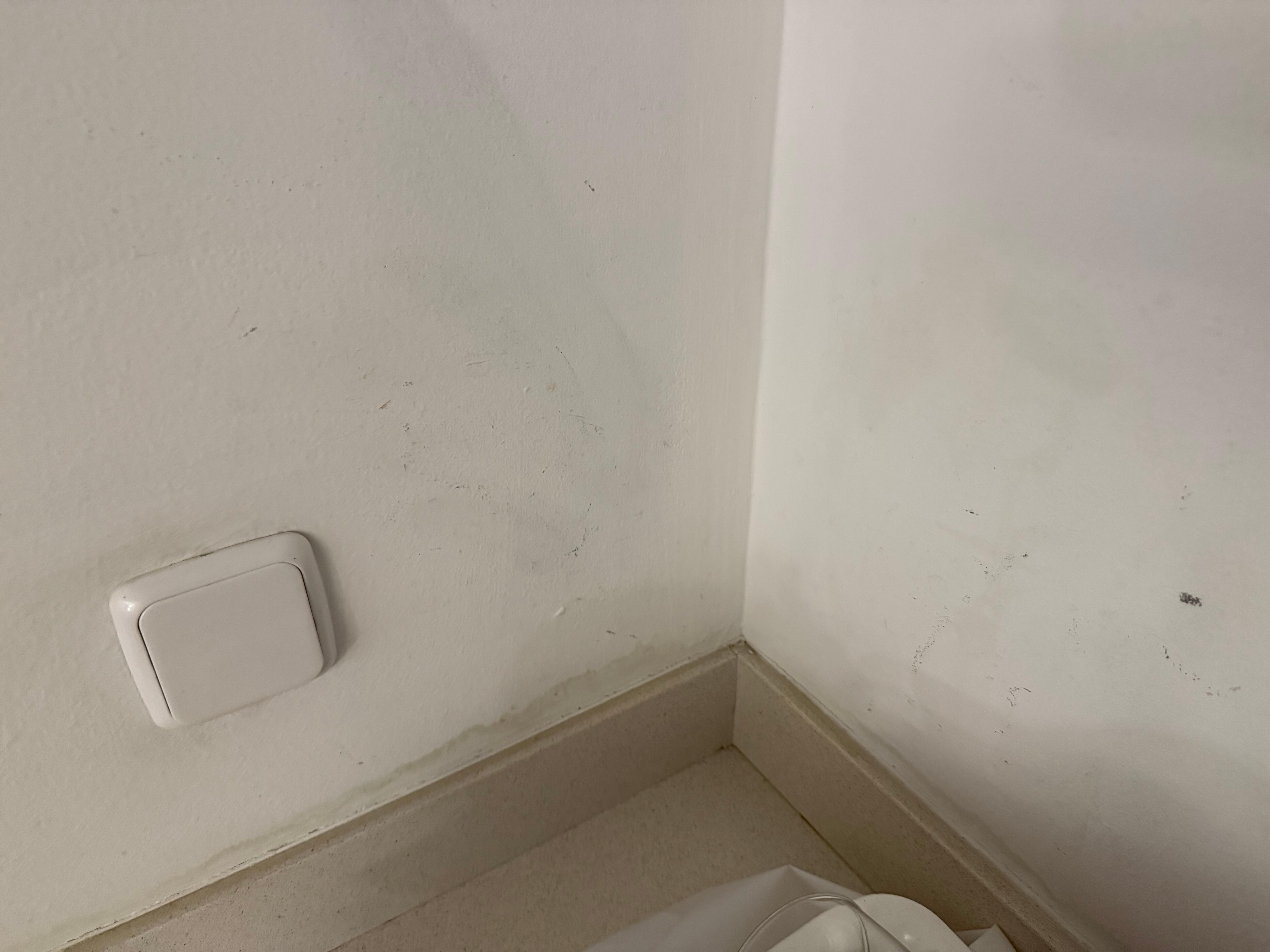 Mold on the walls