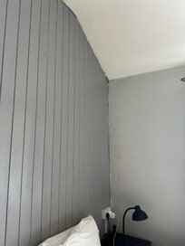 Mouldy walls