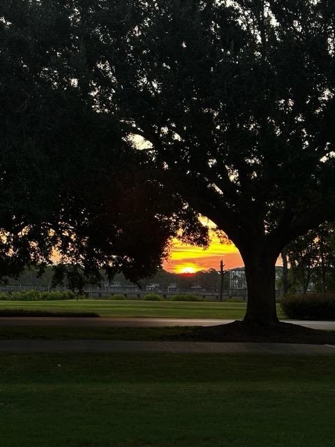 sunrise from the back patio