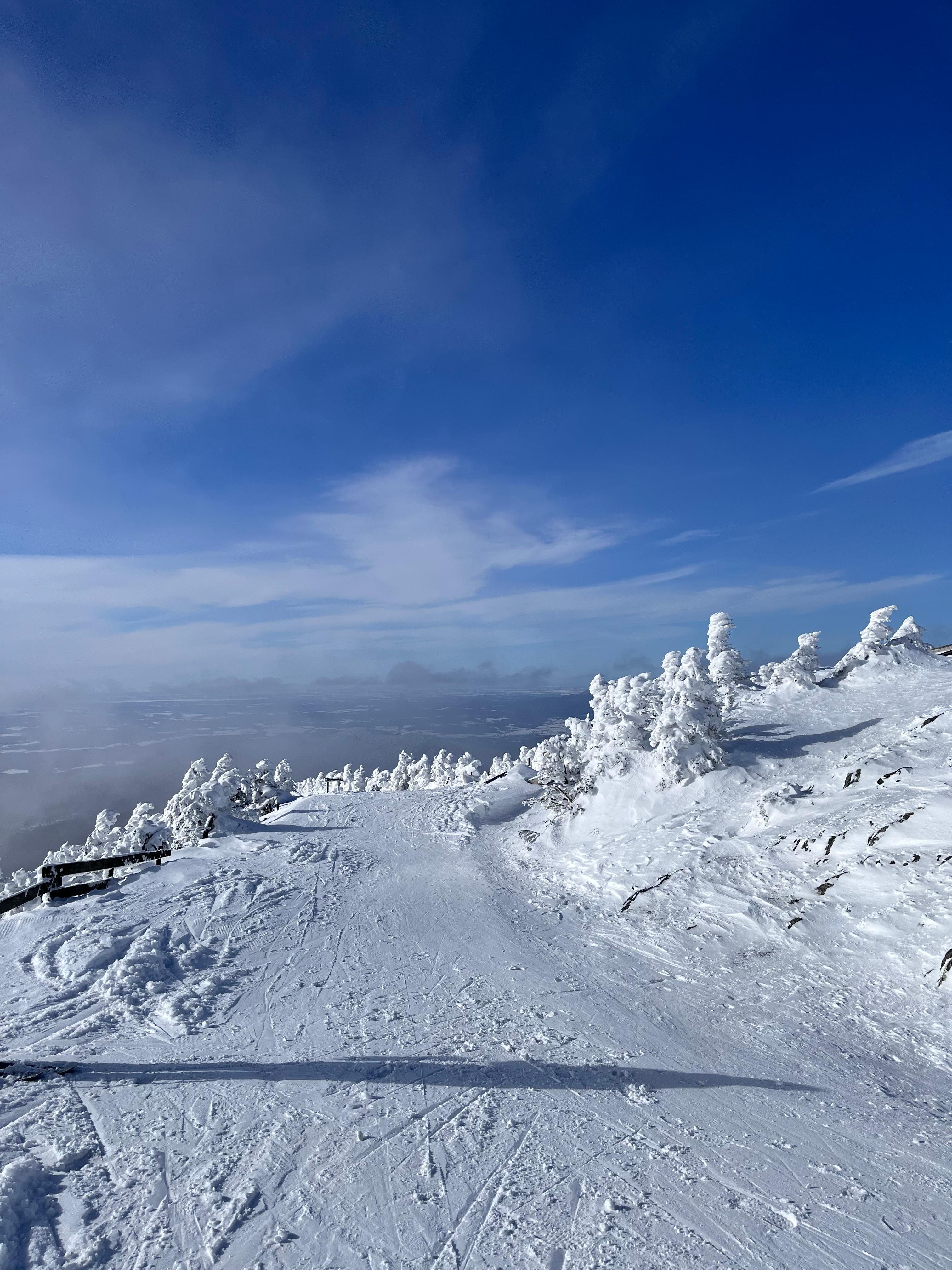 Jay Peak just off the Tram 