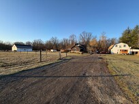 First thing in the morning, strolling around to see the animals