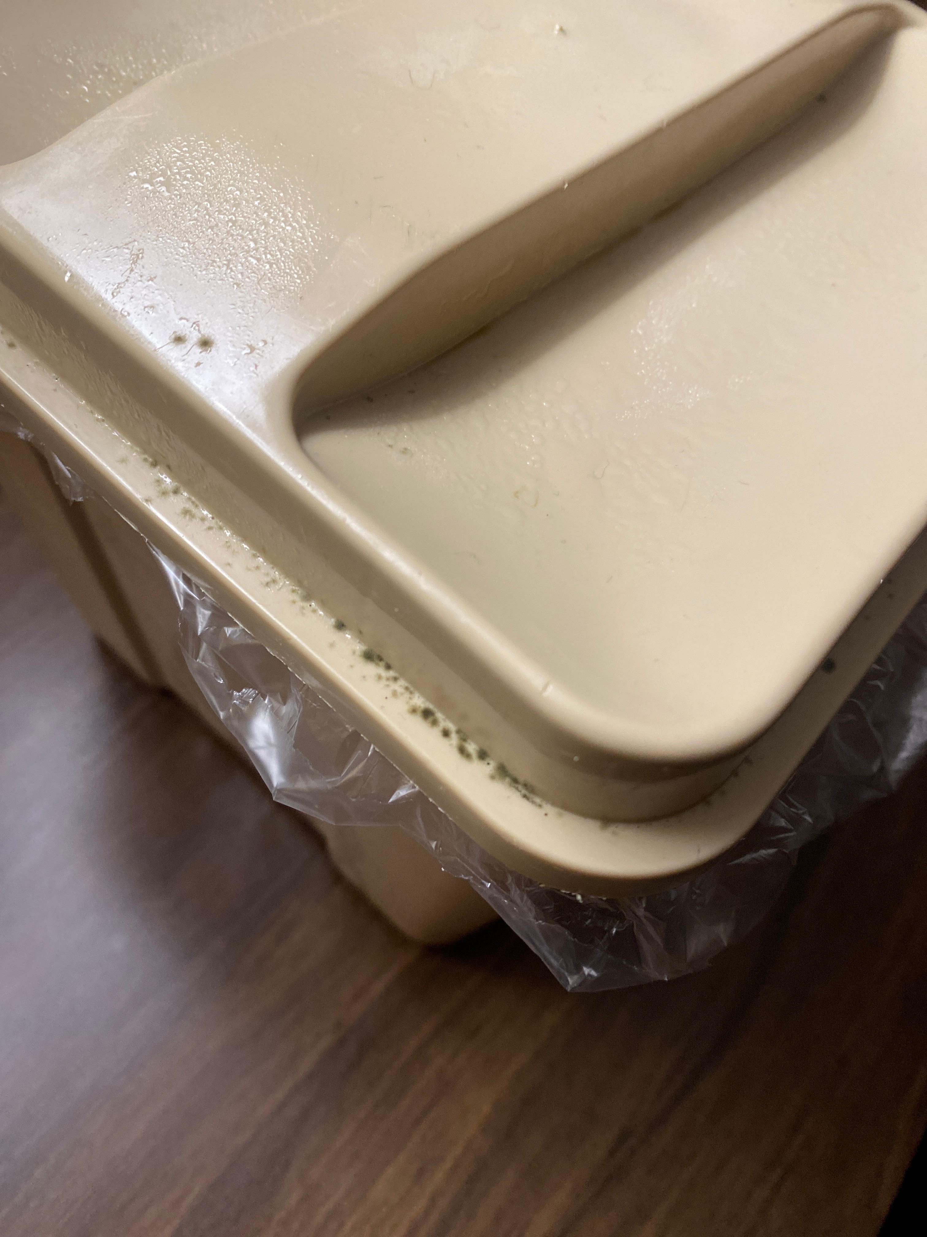 Mold on ice bucket