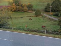 Ausblick von der Küche auf die Straße