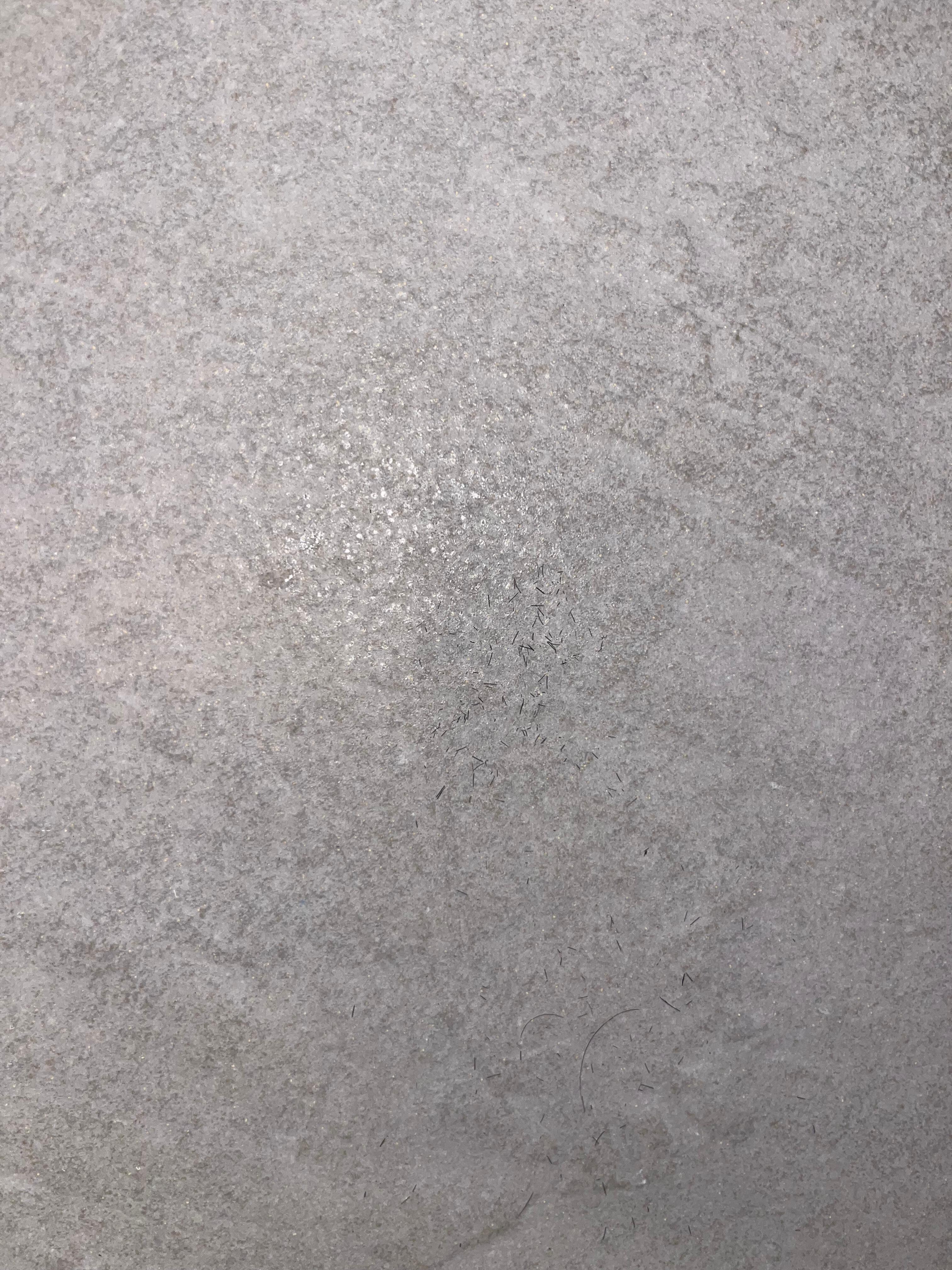 Hair clippings on wall