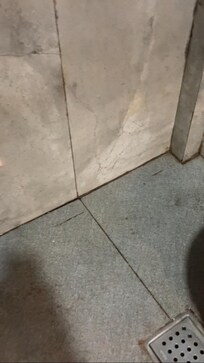 Unclean shower - Mold everywhere