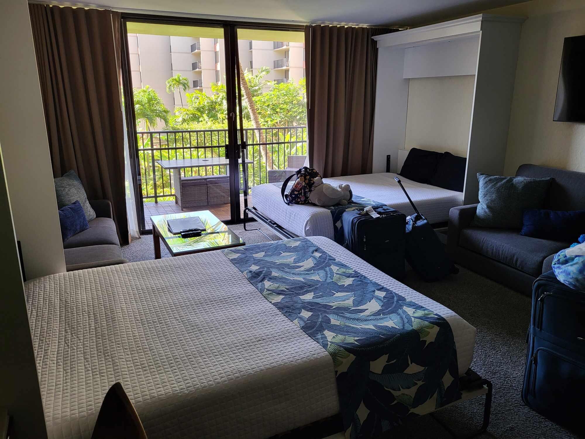 Main room with 2 murphy beds and 2 pull-out couches. View from lanai is the garden in front of the pool area.
