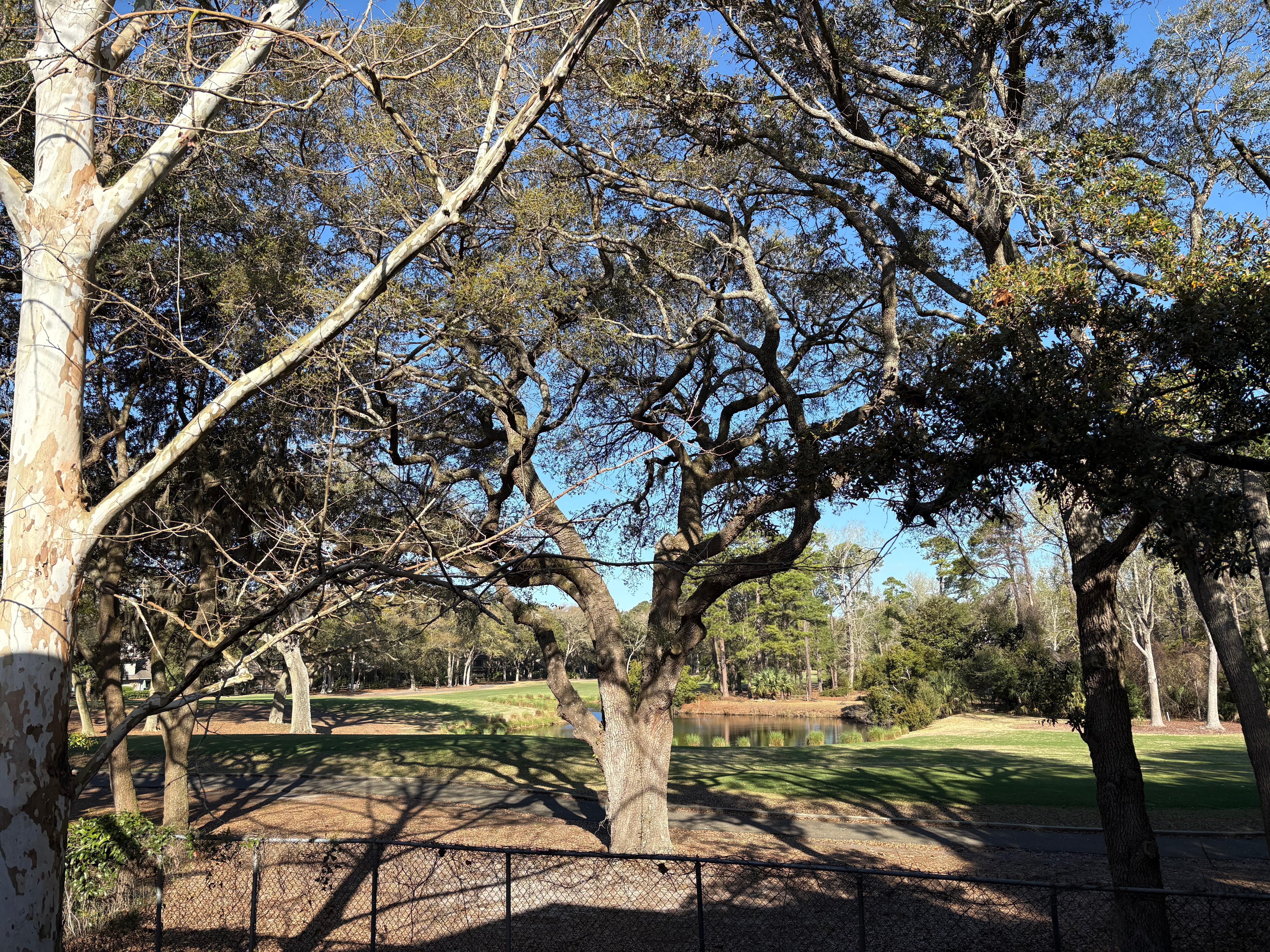 Beautiful view from balcony
