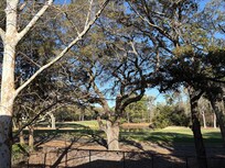 Beautiful view from balcony