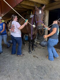 Getting ready for a trail ride.