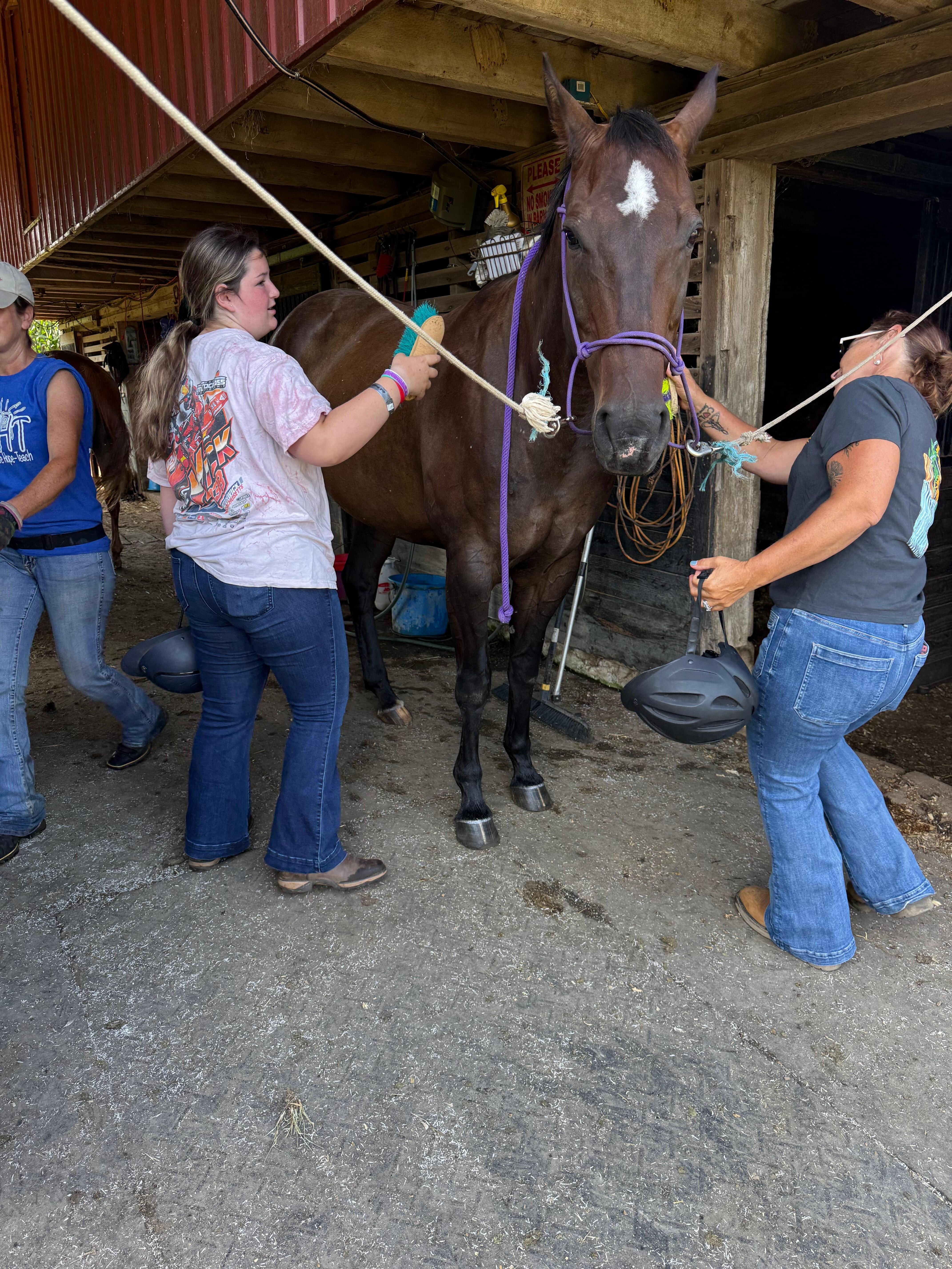 Getting ready for a trail ride. 