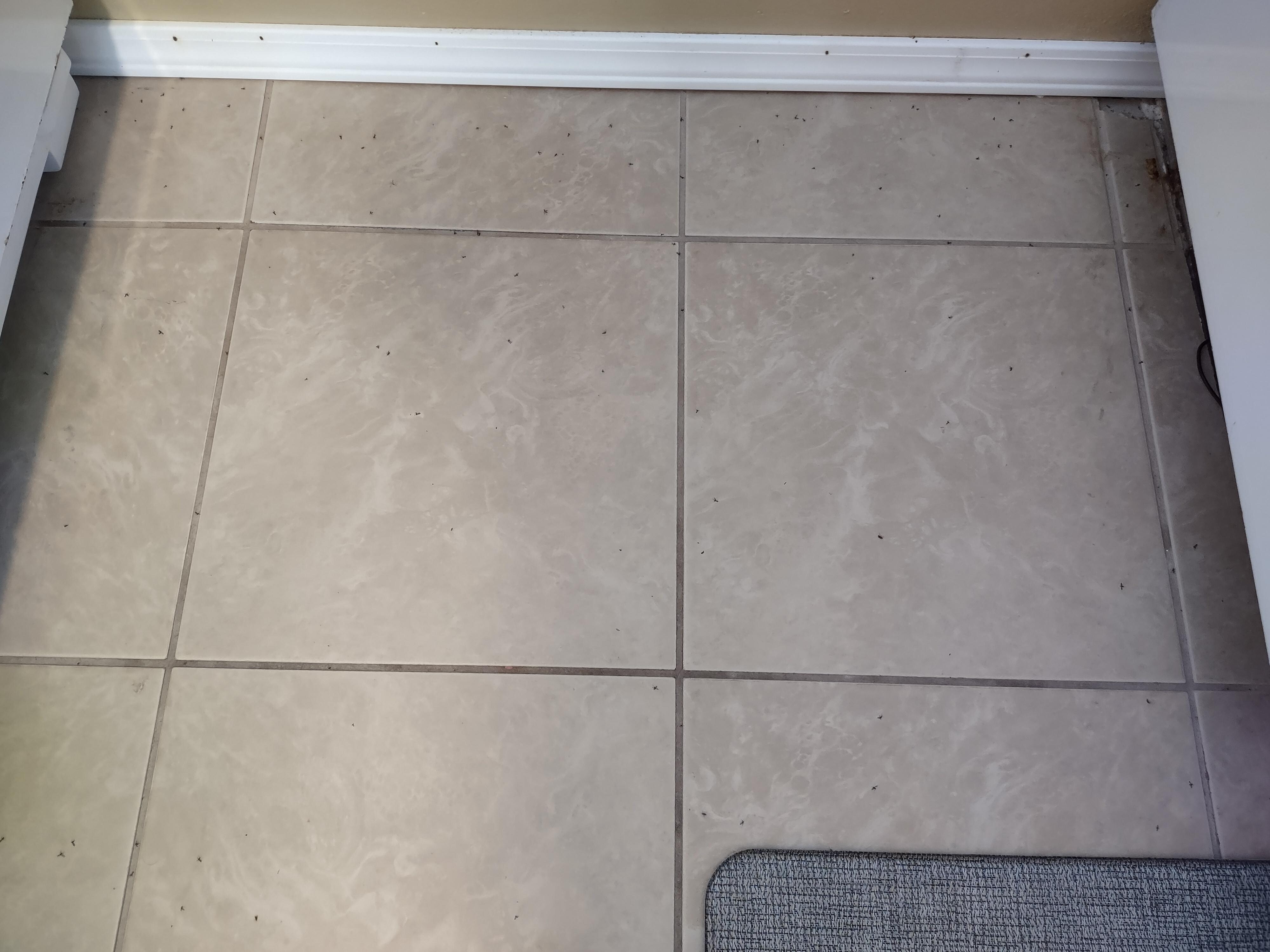June 16th morning, a closer look at the Kitchen floor.