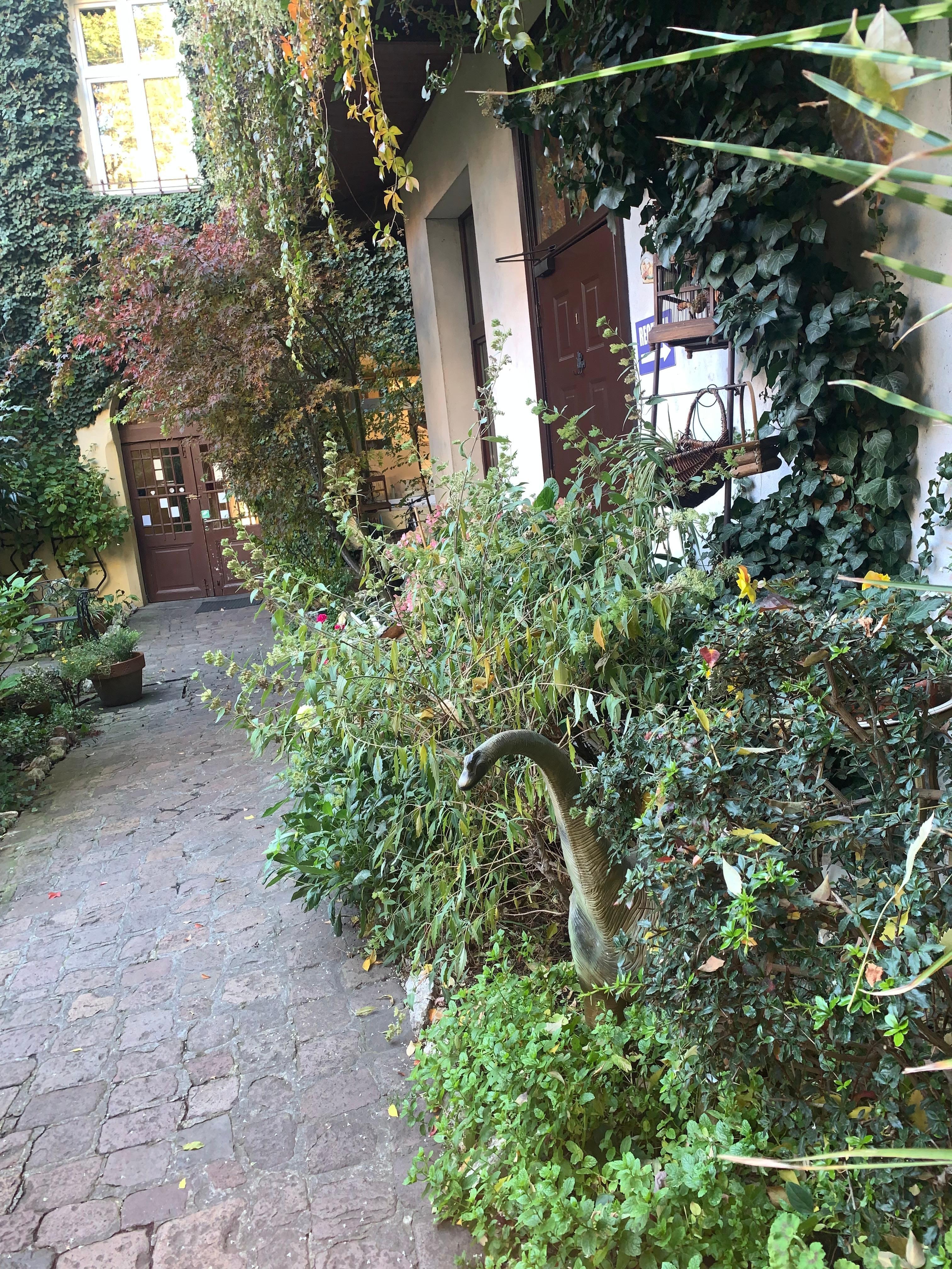 Garden
(Bit dark at night)