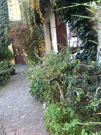 Garden
(Bit dark at night)